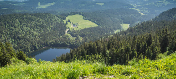 Westweg Wanderung 3. Etappe: Feldberg-Bärental – Notschrei