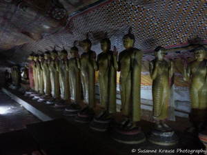 Das Foto zeigt Buddha Statuen im Höhlentempel in Dambulla